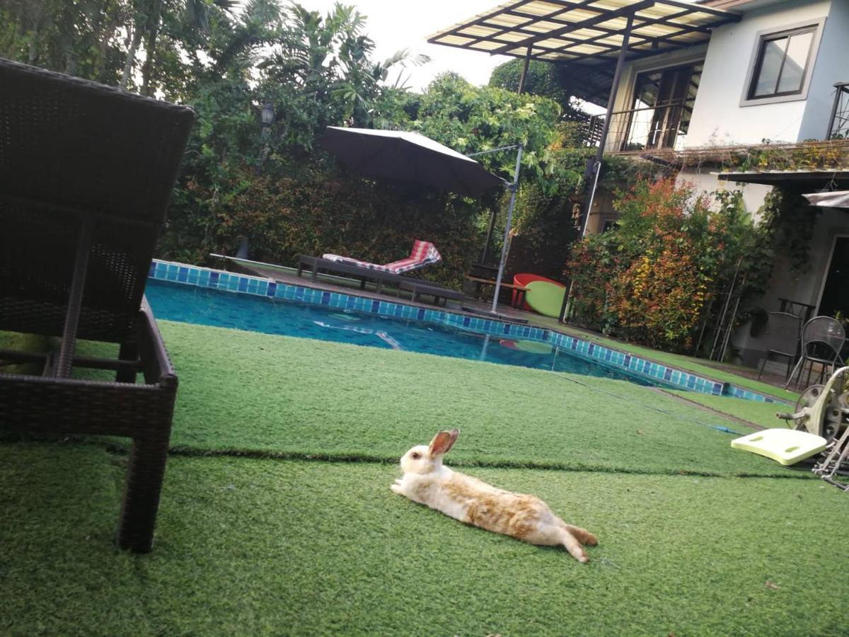 Homestay With Bunny Rabbit Chiang Rai Exterior photo